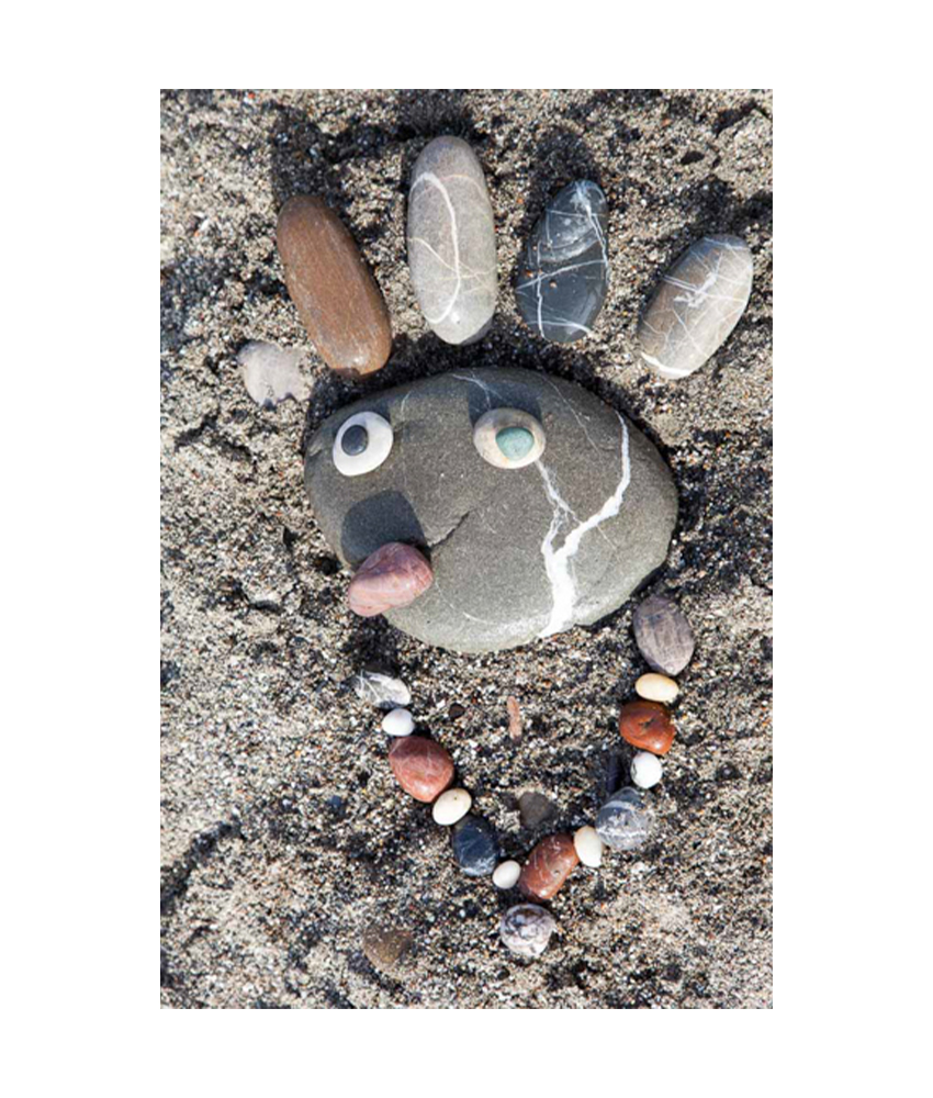 Monstre des plages
