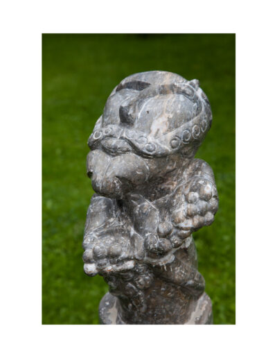 H 420 x 220 x 200 mm